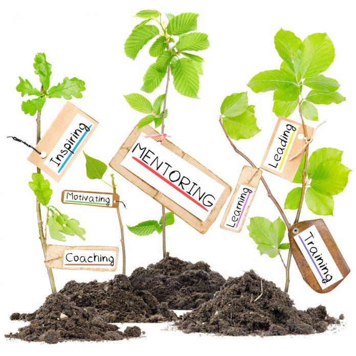 Photo,Of,Plants,Growing,From,Soil,Heaps,With,Mentoring,Conceptual