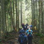 Revitalizing Work Culture Through Nature-Based Retreats