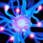 How HR Can Be the Central Nervous System of Employee Engagement